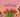 Mother’s Day Gift Guide 2026