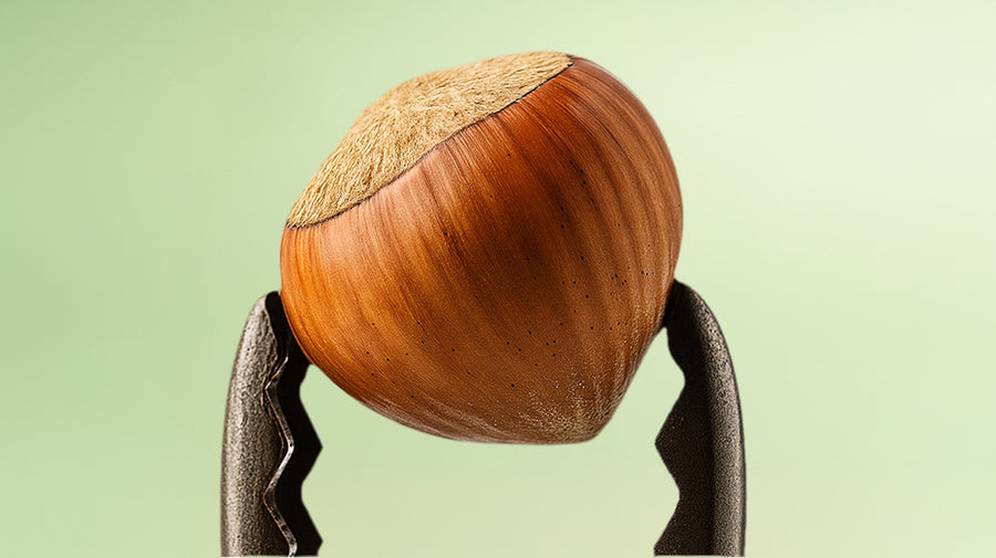 Raw Hazelnut Whole >